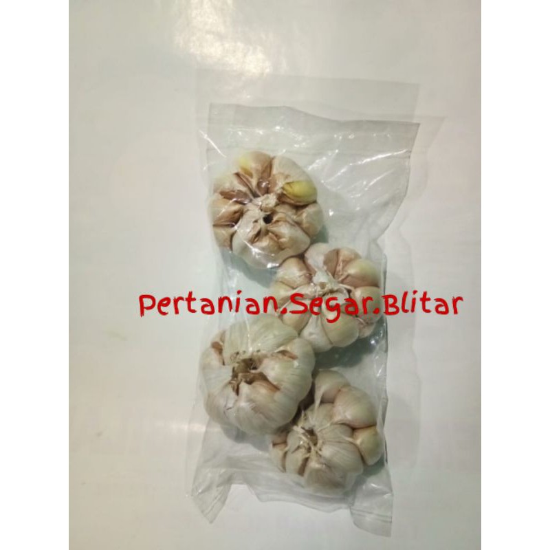 

[Pertanian Blitar] Bawang Putih Premium Fresh Kering Bumbu Dapur Seal Packing Vakum