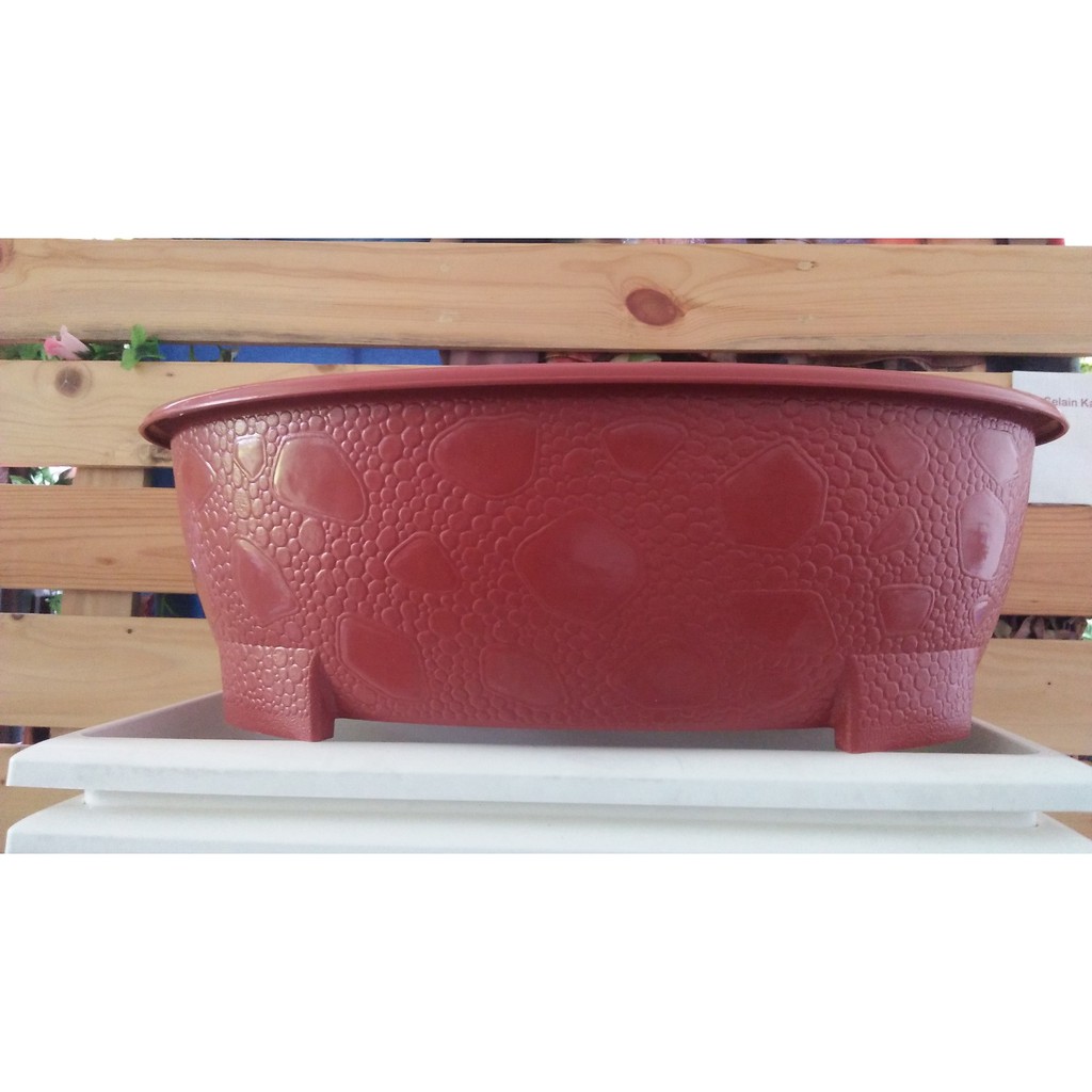 pot bonsai oval