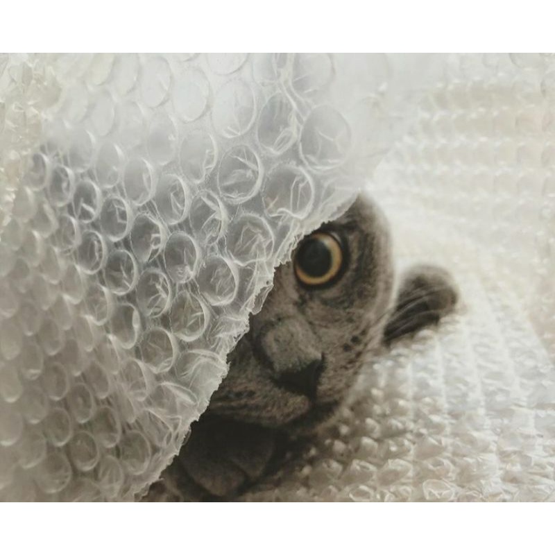 

Bubble Wrap, Box Kardus, sebagai Proteksi Produk