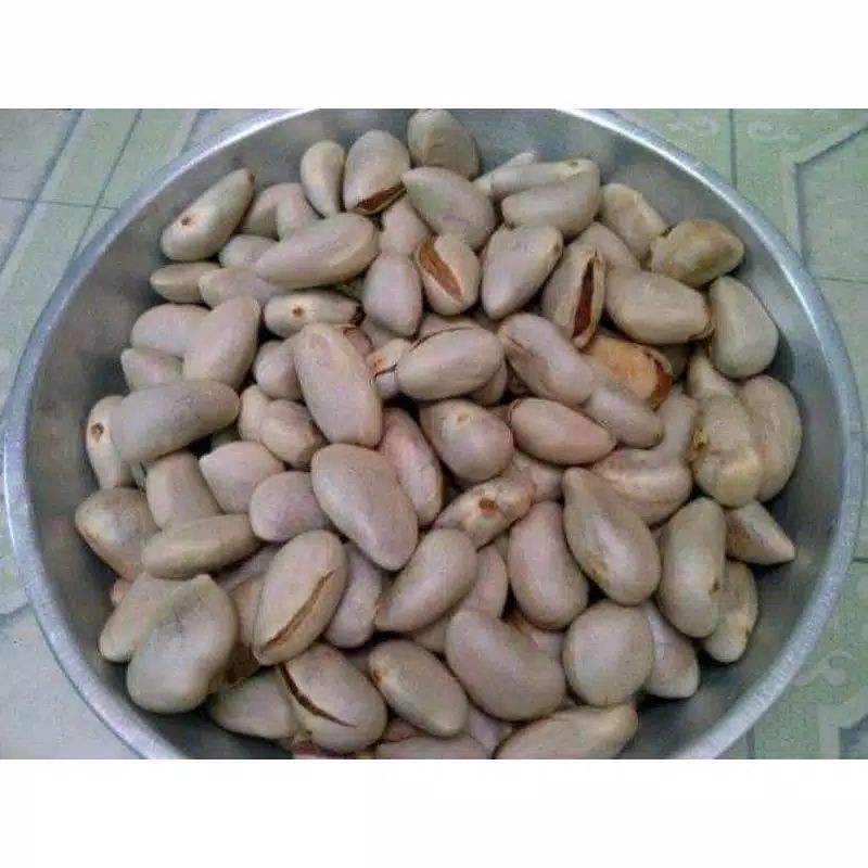 

Beton Nangka / biji nangka 1 kg