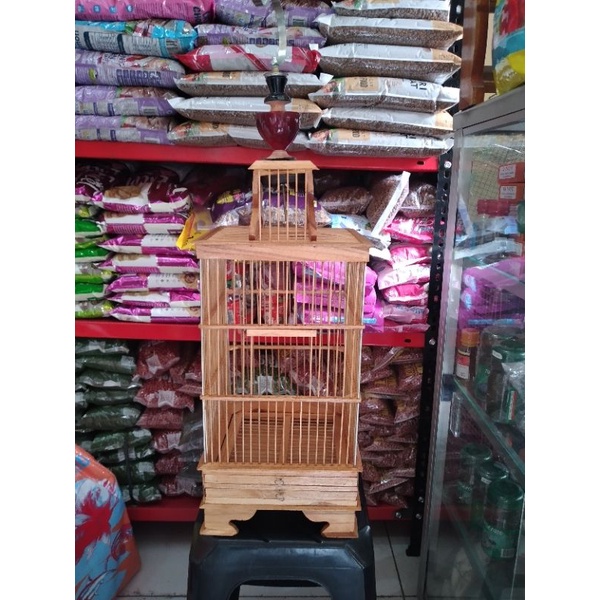 Kandang Burung Pleci Cungkok/Kandang Pleci Plitur/Kandang Pleci Untulan