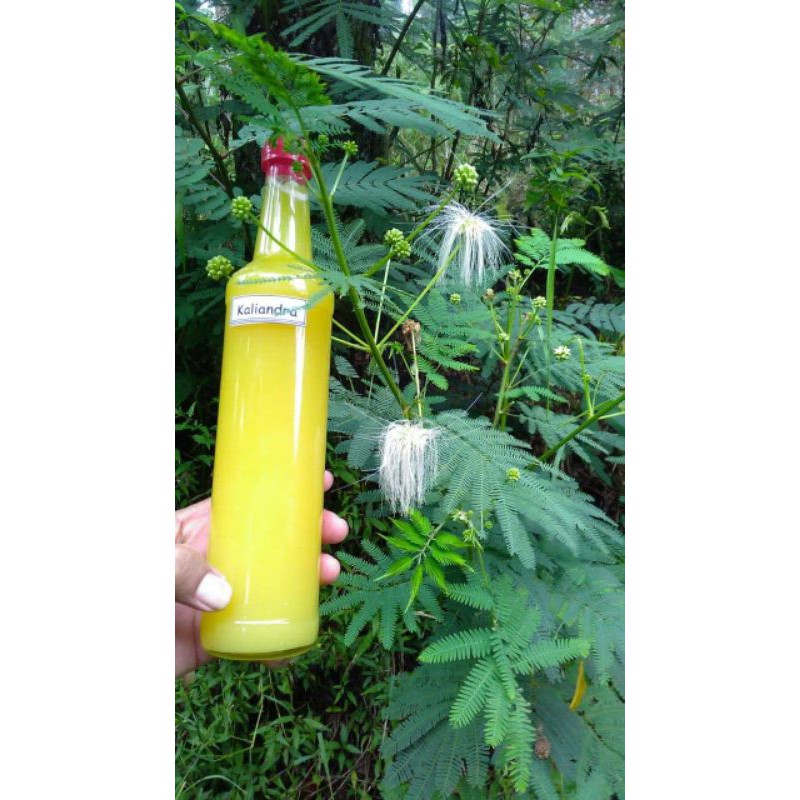

madu Kaliandra 1KG