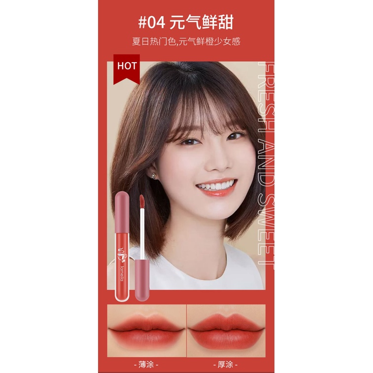 Lameila Lip Glaze Matte Lipstick Anti Air Lipstik Velvet Lip Gloss DJ 1041