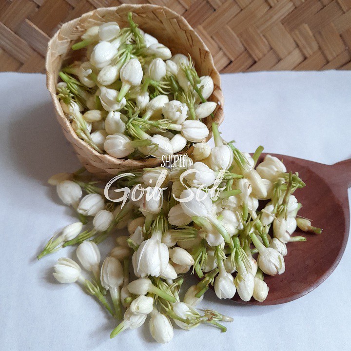 BUNGA MELATI SEGAR MURAH