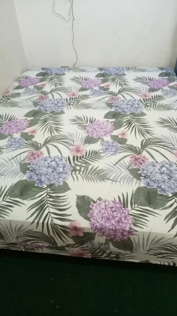 Sprei Karet Keliling Katun Magenta