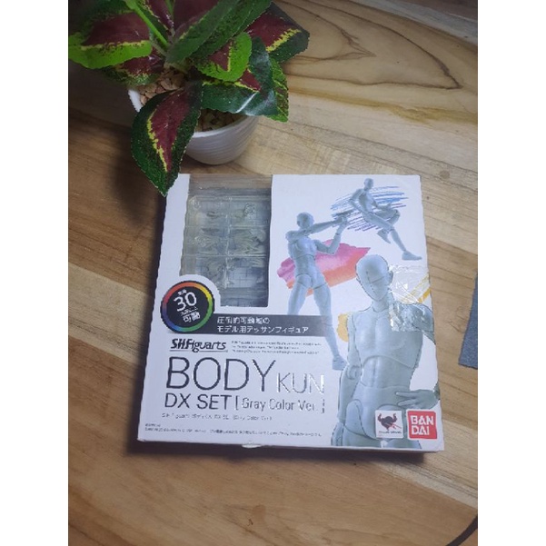

body kun dx set