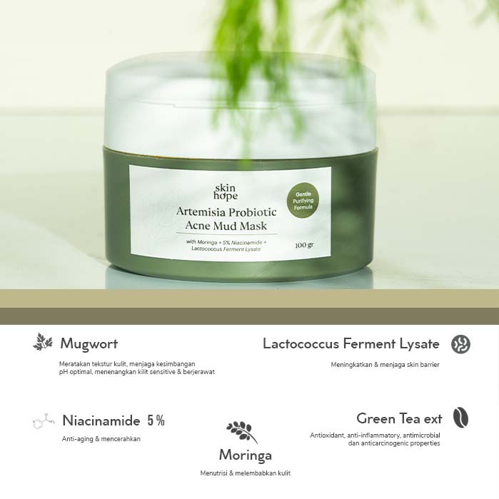 Skinhope Artemisia Probiotic Acne Mud Mask