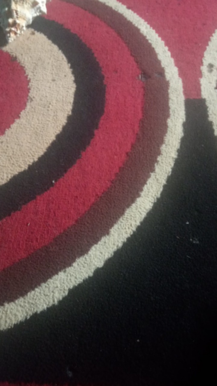 Pembersih Sisik Ikan