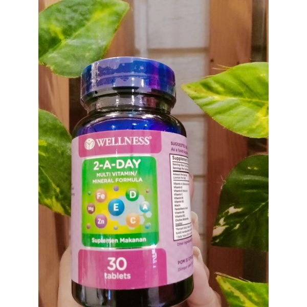 Wellness 2-A-Day Multivitamin Dan Mineral 30 Tablet (promo Samapi Minggu aja tgl 6 Febuari 2022)