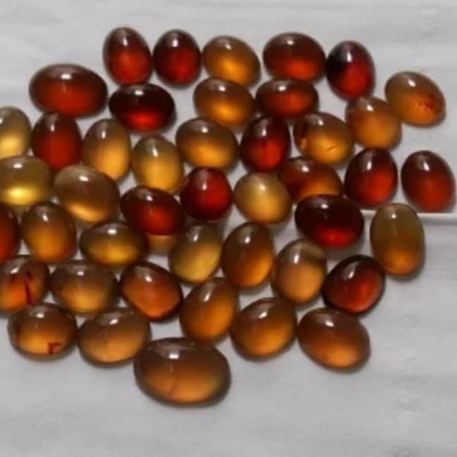 Harga Getah Katilayu Asli Terbaru November 2021  BigGo Indonesia