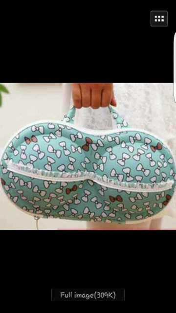 BRA BAG STORAGE UNDERWEAR ORGANIZER TAS TRAVEL BH DAN PAKAIAN DALAM