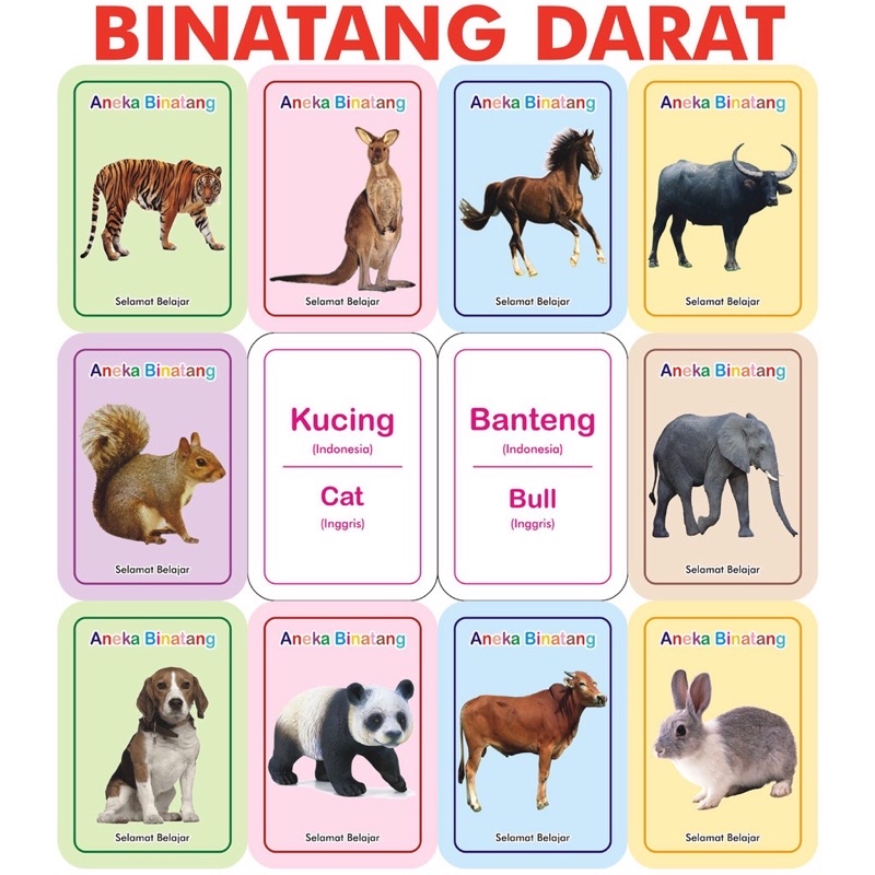 Jual Flashcard Aneka Binatang Darat anak balita Flash Card Shopee Indonesia
