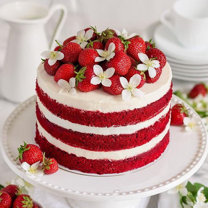 

TERLARIS Trans Red Velvet Cake Mix Tepung Instant Kue Redvelvet