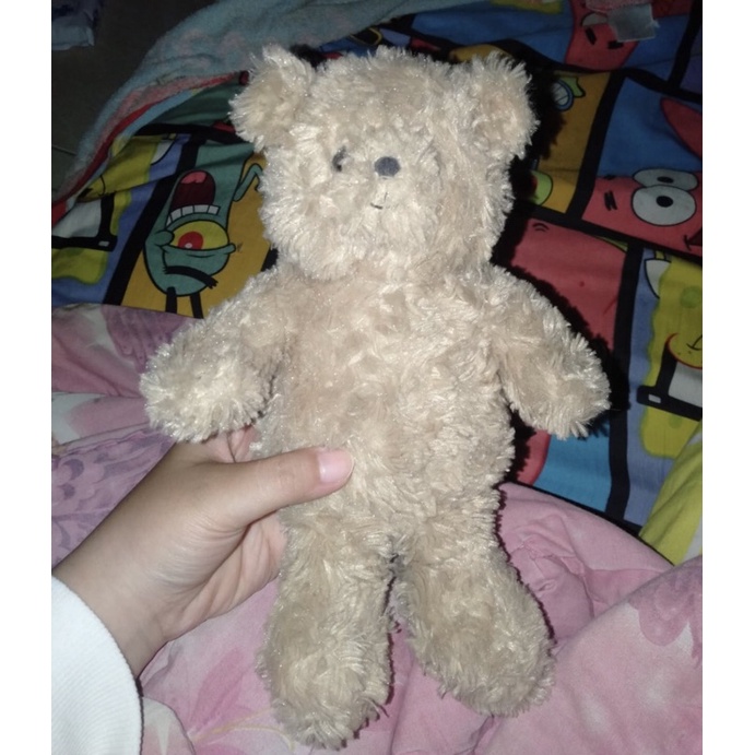 Teddy House