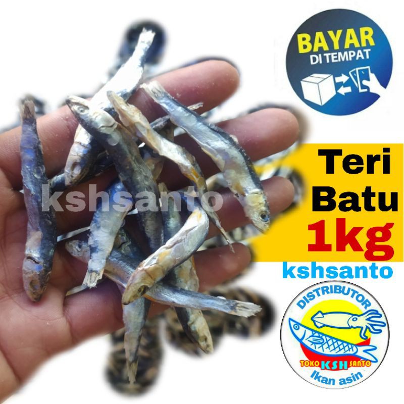 

ikan asin teri batu super-1kg