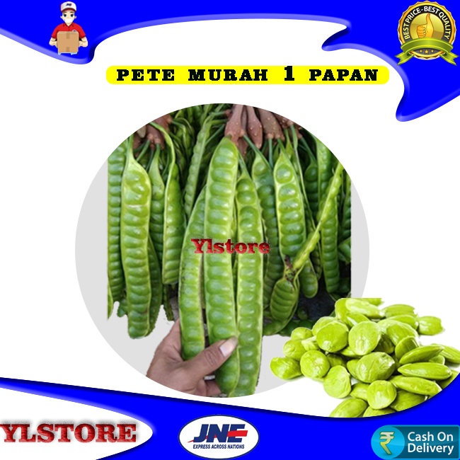 

PETE SEGAR MURAH / PETAI MURAH 1 PAPAN / PETE LALAPAN SEGAR / SAYURAN LEZAT