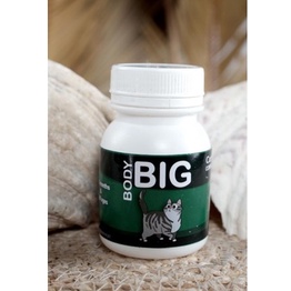 BODY BIG CAT / PENGGEMUK KUCING / VITAMIN KUCING / CAT FATER POWDER / BTM / BIG BODY