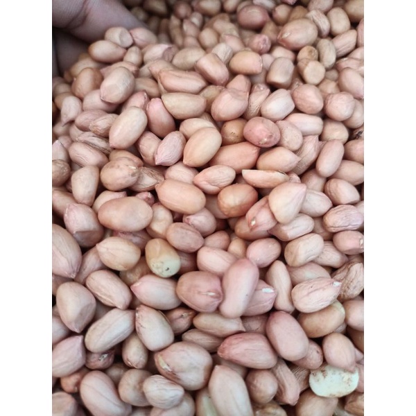 

KACANG TANAH/SAMBAL super 1 kg