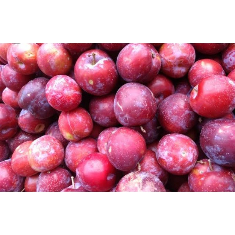 

BUAH PLUM PER 250 GR SAYUR SEGAR PALEMBANG