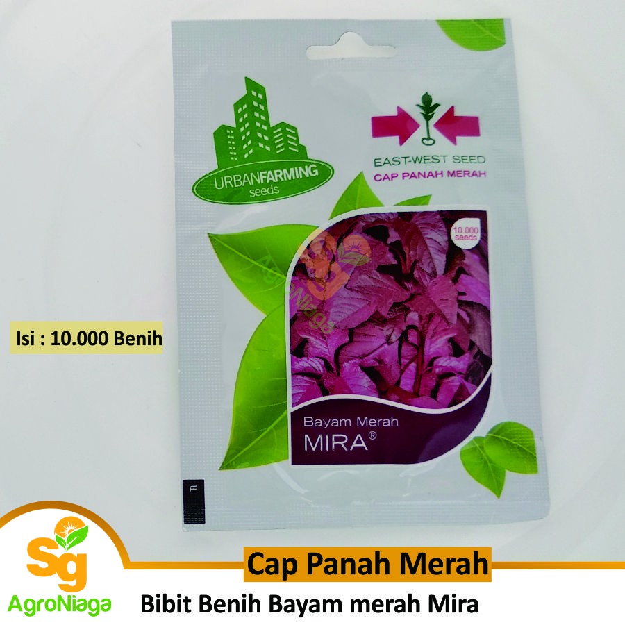 Bibit Benih Bayam merah Mira Cap Panah Merah