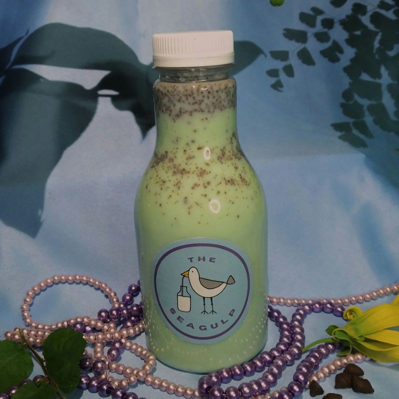 

The Seagulp Mint Chocolate Chip Milk 250ml