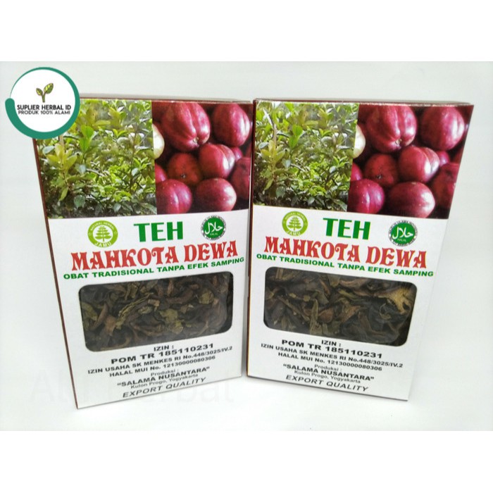 

Teh Mahkota Dewa - Kesehatan - Herbal - Teh