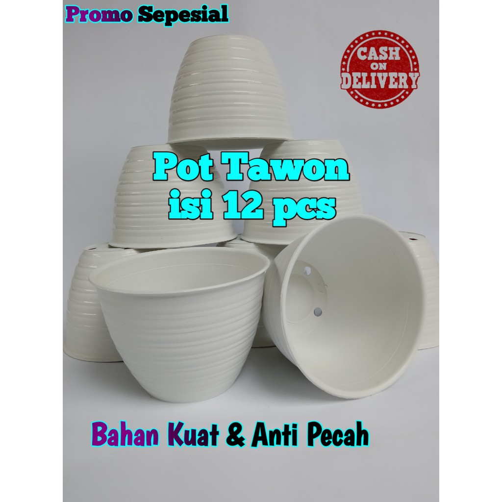 Pot Bunga Plastik Lusinan Murah Isi 12pcs Pot Tawon Putih No.18