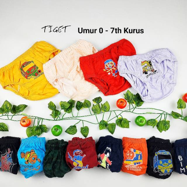 CD Celana Dalam Anak Balita Bayi Cowok Laki laki Paud CD Celana Dalam Anak Balita Bayi Cowok Laki laki Paud