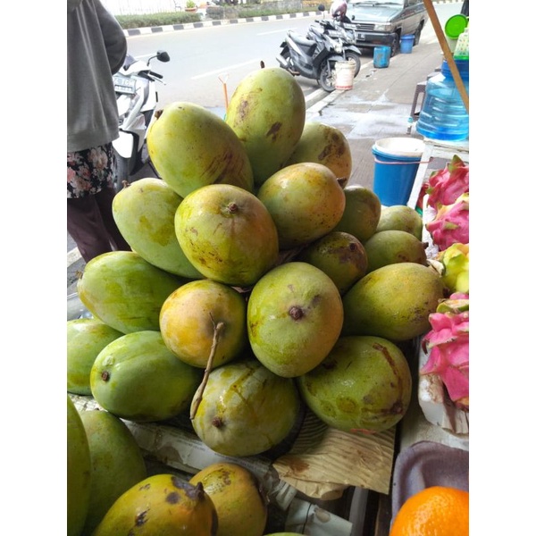 

buah mangga Budi Raja