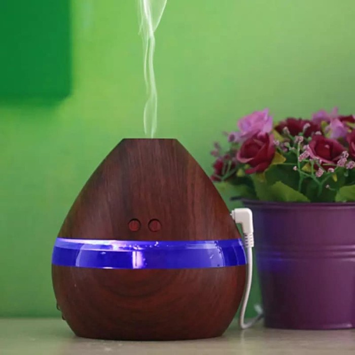 Humidifier Aromatherapy Air Mistmaker 300ml Essential Oil Led Night-1