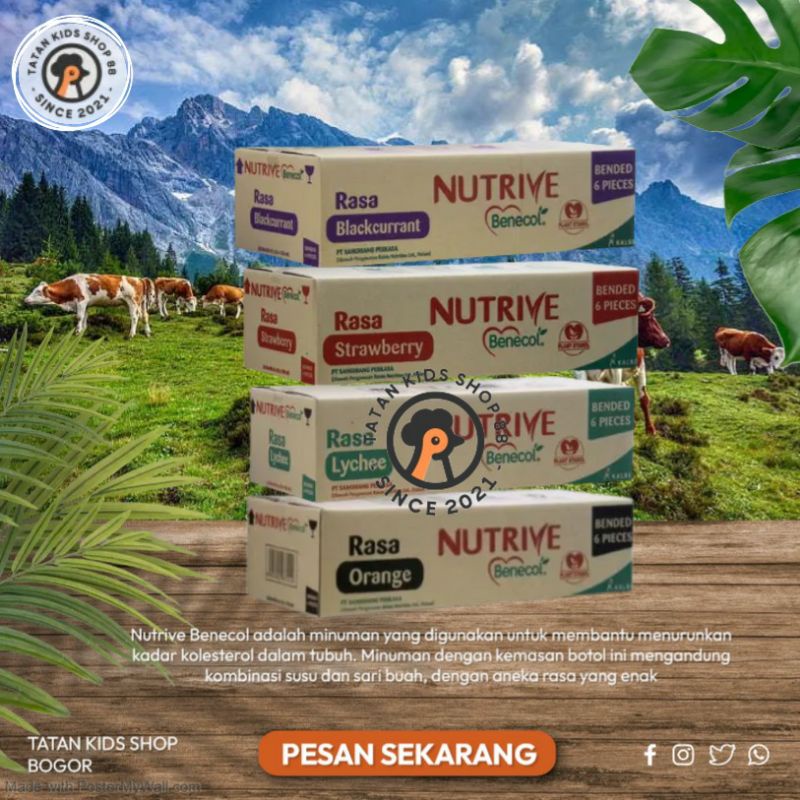 

Nutrive Benecol Penurun Kolesterol 36 botol 100ml 1 Dus Karton