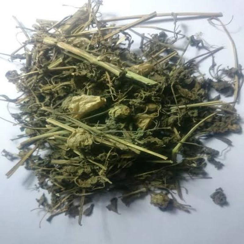 Pohon ciplukan kering/daun ciplukan kering 250gr