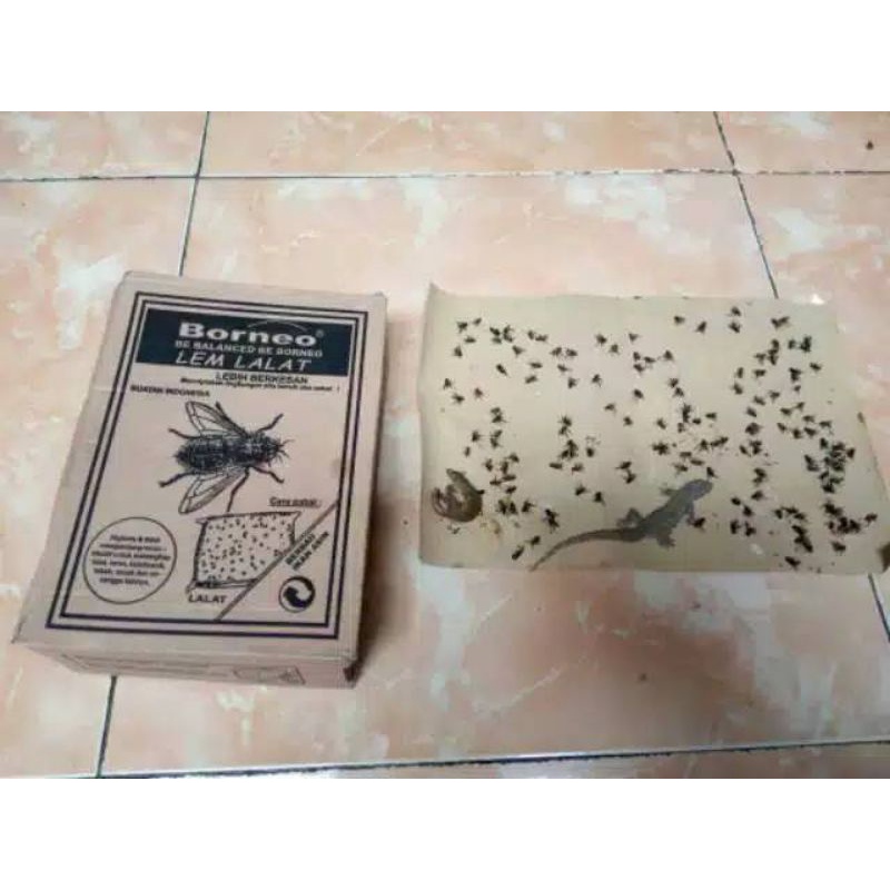 

lem lalat super lekat