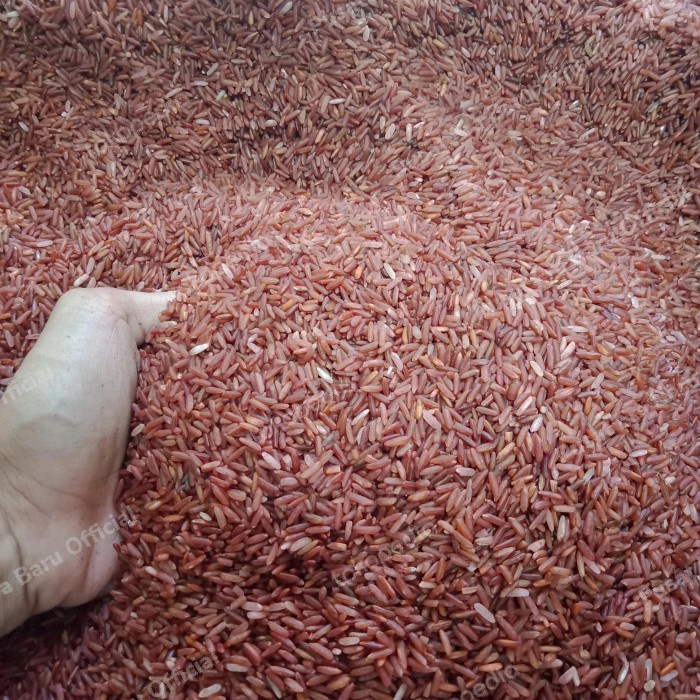 

Beras merah 1kg organik pulen enak