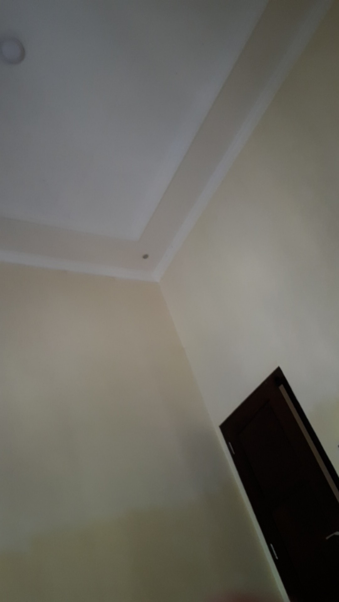 Hanger Jepitan Markspencer Murah