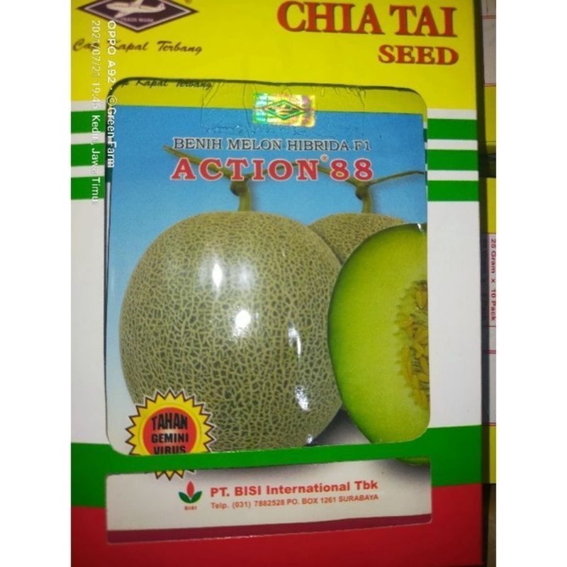 PROMO.. sale..HEMAT.. Melon Action 88 F1 Tahan Virus 550 biji Melon Hibrida Daging Putih Original Pa