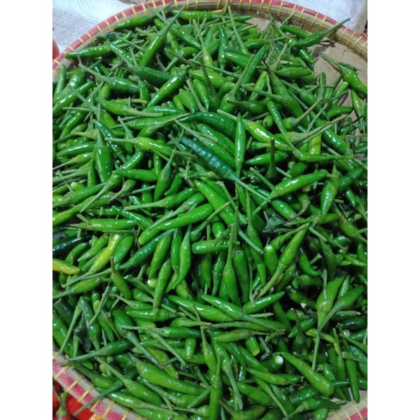 

Cabe Rawit Ijo