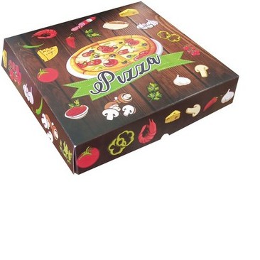 Box 20x20x4 cm Pizza/Duplex/Kardus/Kardus