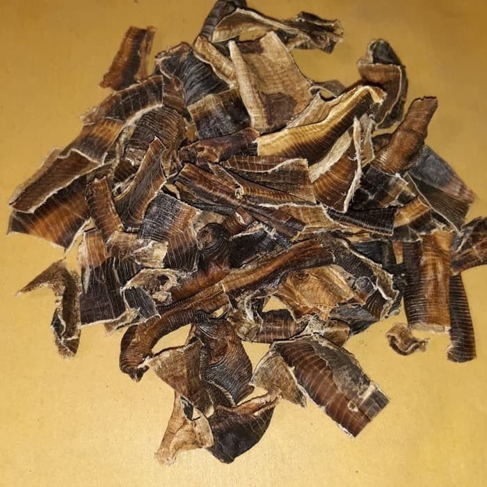 

Tilong / Tilung / Dilong / Dilung Cacing Kering Untuk Types
