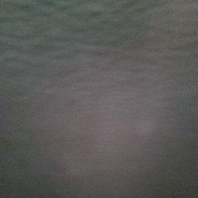 Proclin Penghilang Noda 400ml Botol