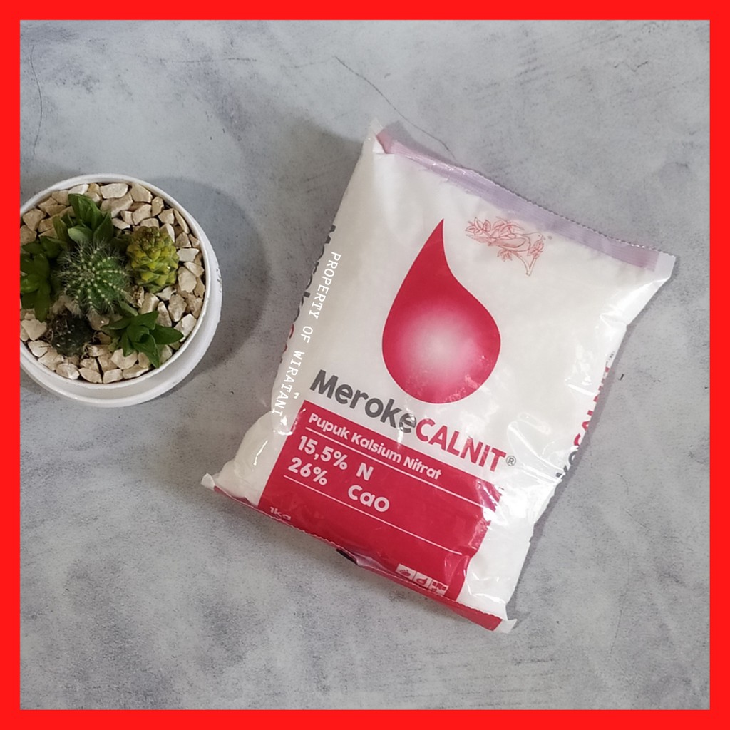 Meroke CALNIT / MerokeCALNIT