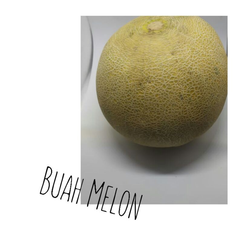 Melon 1.7 - 2 kg