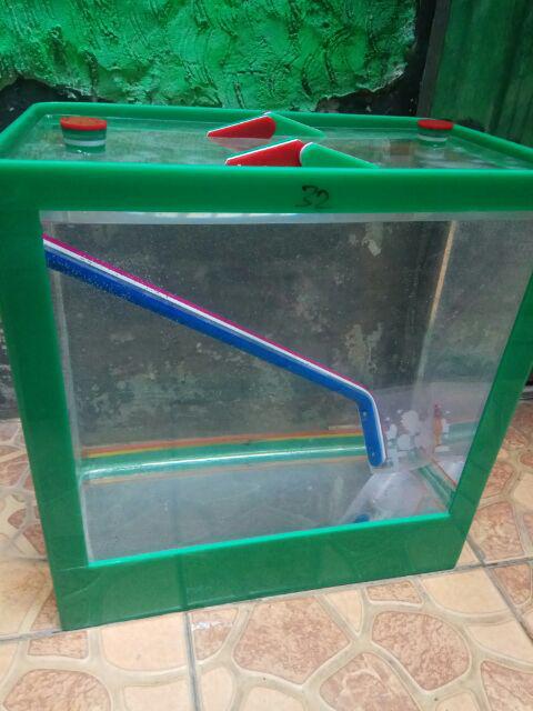 Aquarium Es Kelapa Kecil Acrylic Es Buah + Gayung Lion Star Lionstar