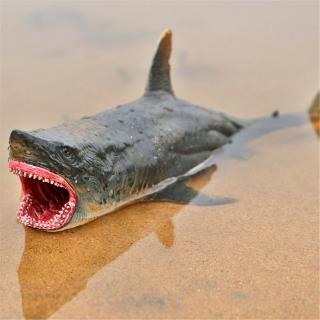  Action  Figure  Desain  Sea Life Megalodon Bahan Pvc Untuk 