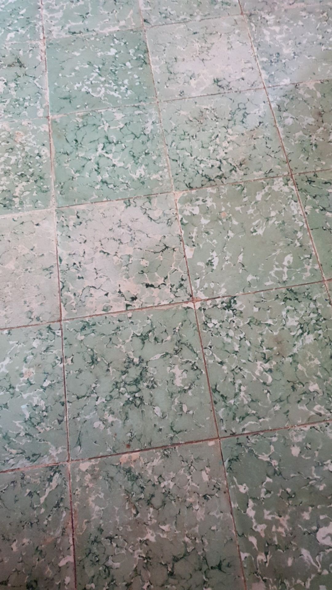 Batamgrosir.id | Toples Kue Lebaran - Kotak Kacang Tempat Cemilan 5in1 - Wadah Saji Green Leaf 513