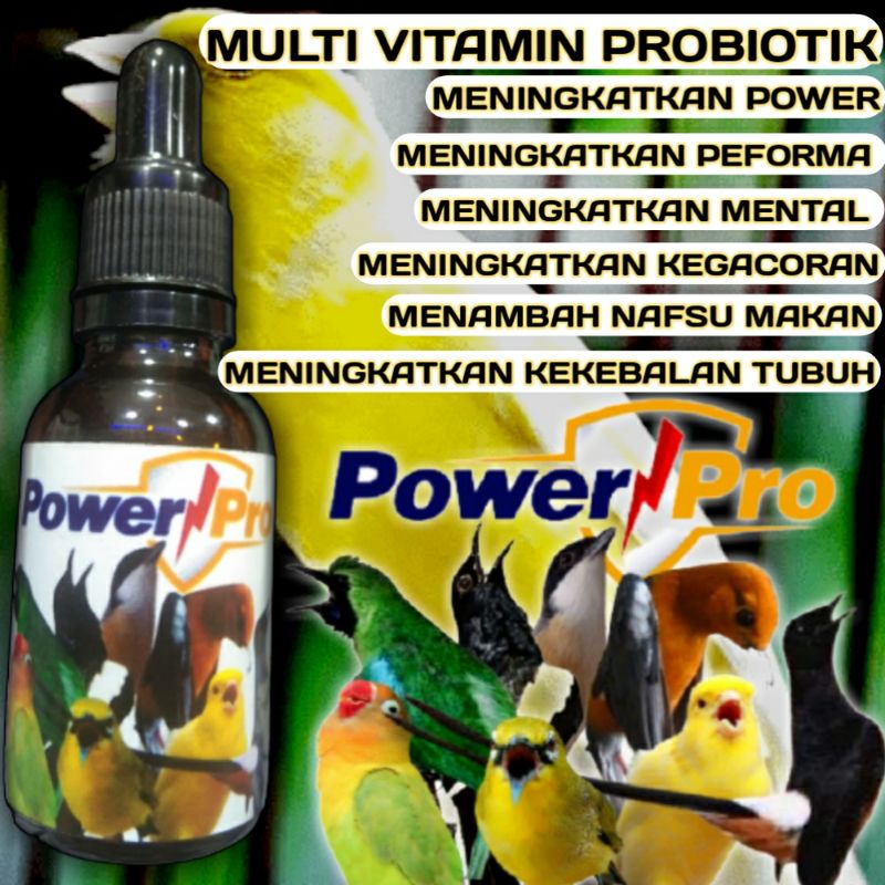 Multivitamin burung kicau Vitamin kenari gacor Vitamin kenari paud Vitamin kenari ternak Perawatan b