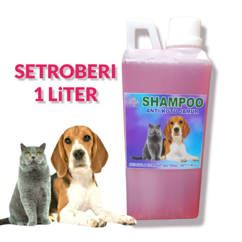 shampo kucing &amp; anjing 1liter anti kutu jamur