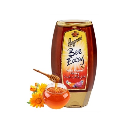 

Langnese Bee Easy Wild Flower Honey 500gr / Madu Import