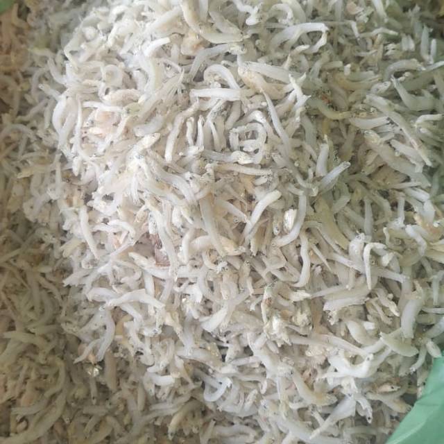 

Ikan Teri Medan