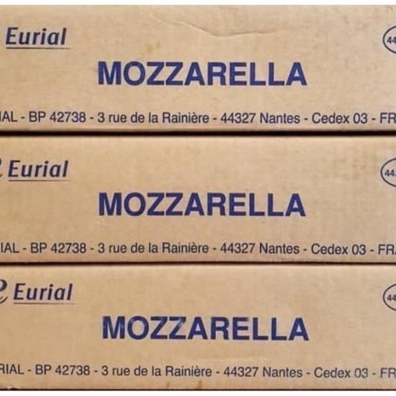 

Cheese Mozarella Cheese 4x2.5kg - Eurial 10kg -Gosend/Grab Only!! .